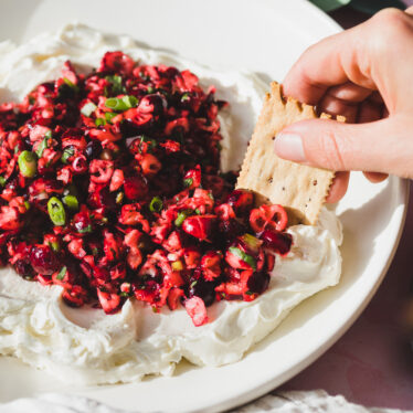 Jalapeno Cranberry Salsa Dip